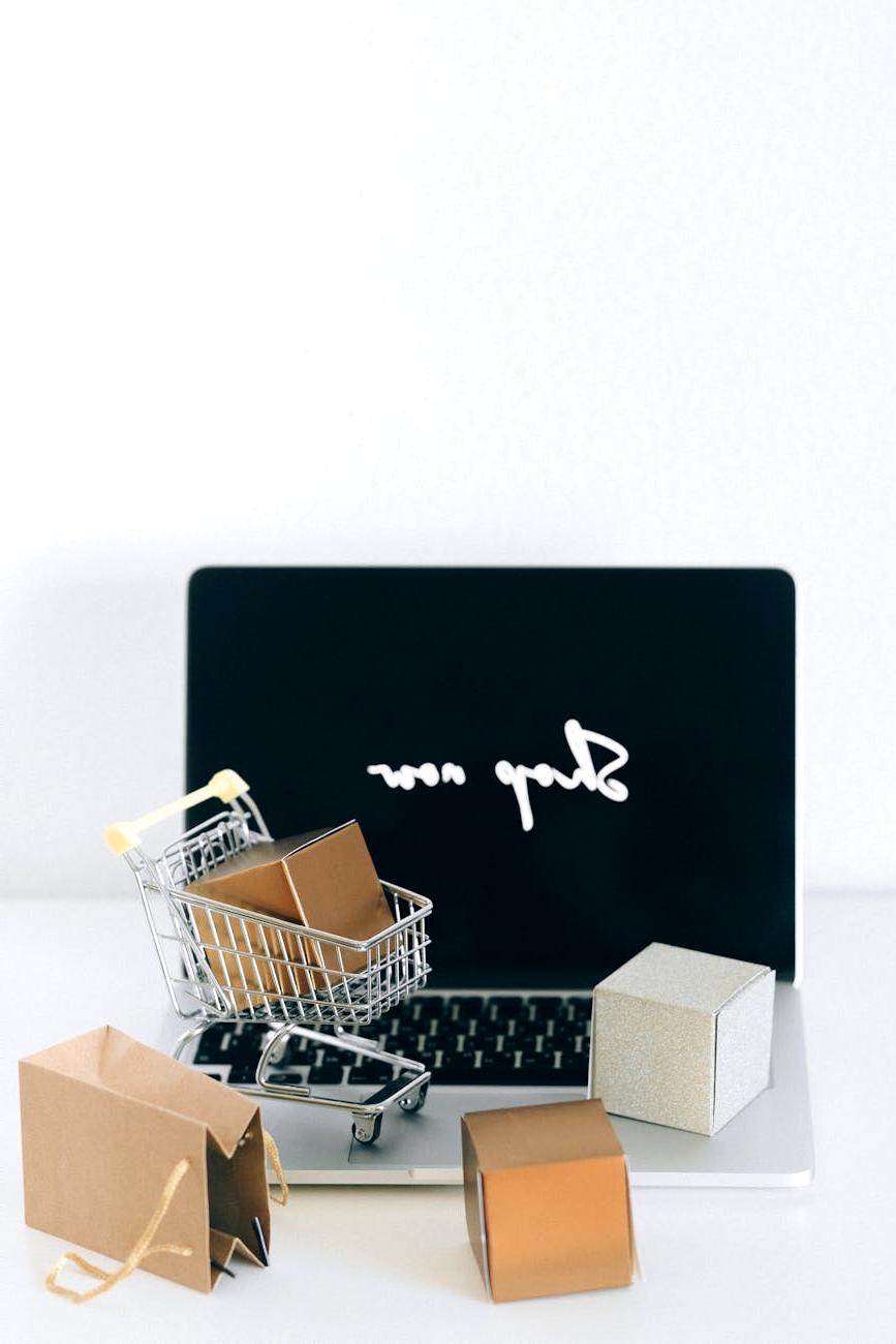 E-commerce Omnichannel Case Study